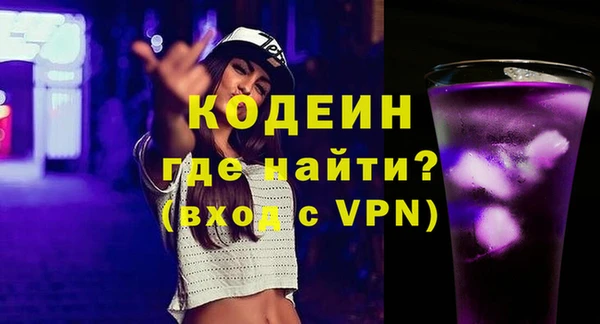спиды Ельня