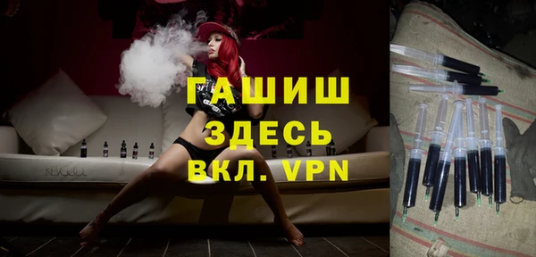 стаф Елизово