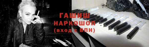 стаф Елизово
