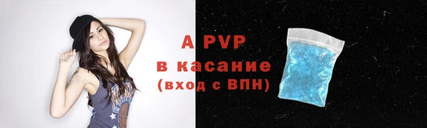спиды Ельня