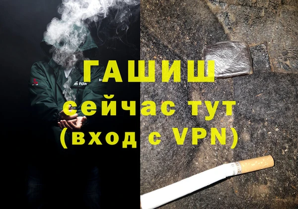 спиды Ельня