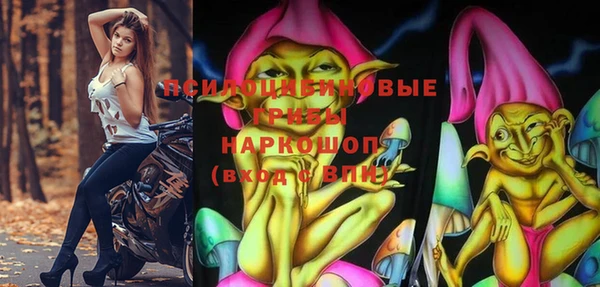 стаф Елизово