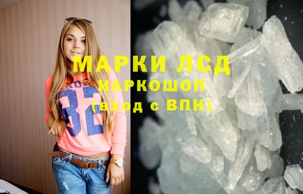 спиды Ельня