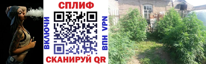 Канабис марихуана  МЕГА вход  Черногорск  закладки 